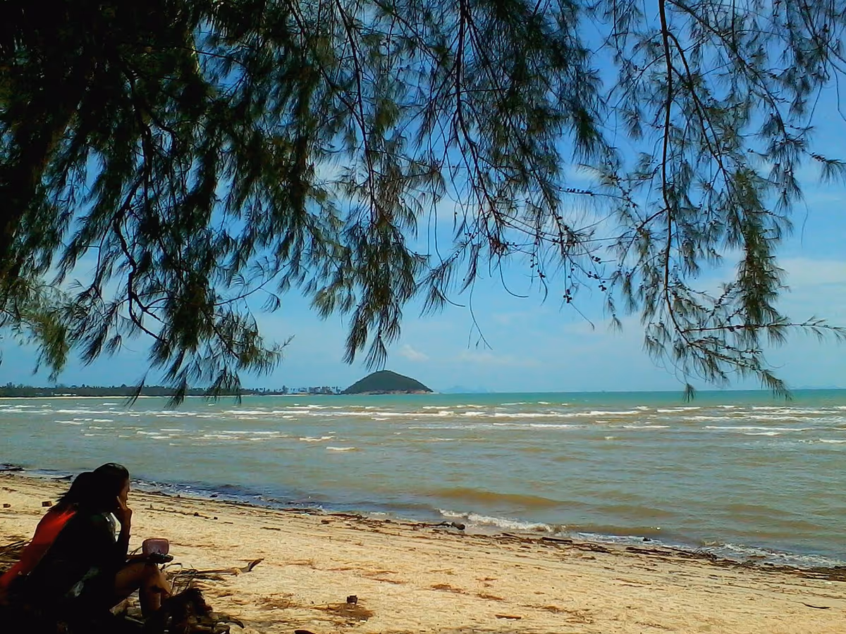 Plage de Lipa Noi à Koh Samui avec filaos et vue sur la mer et l'île
