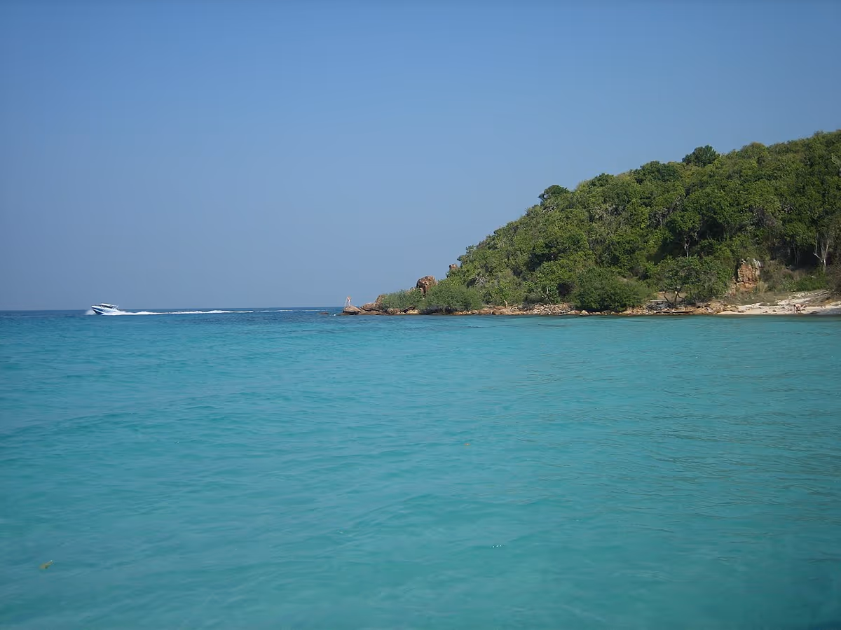 Mer turquoise et côte boisée de l'île de Koh Larn près de Pattaya, Thaïlande
