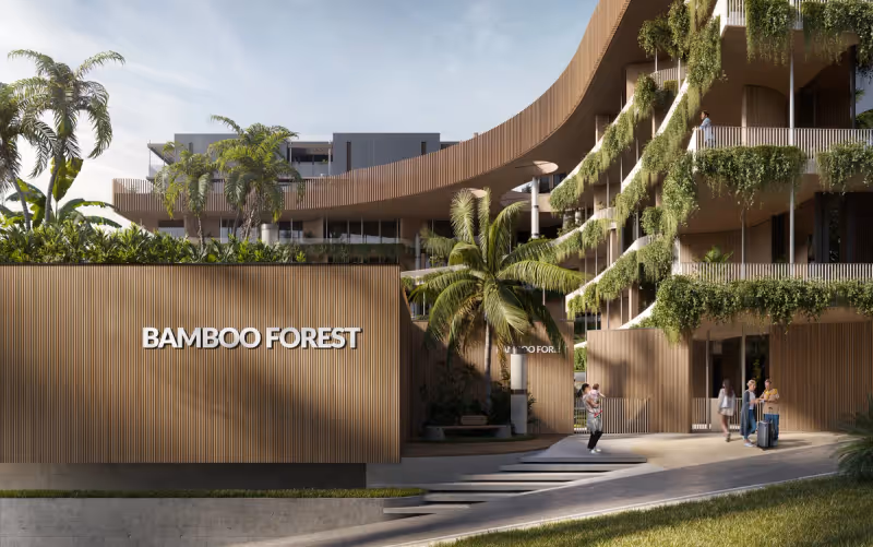 Bamboo Forest 3