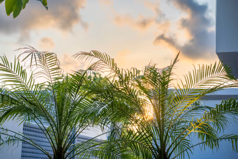 Riverhouse Phuket 8