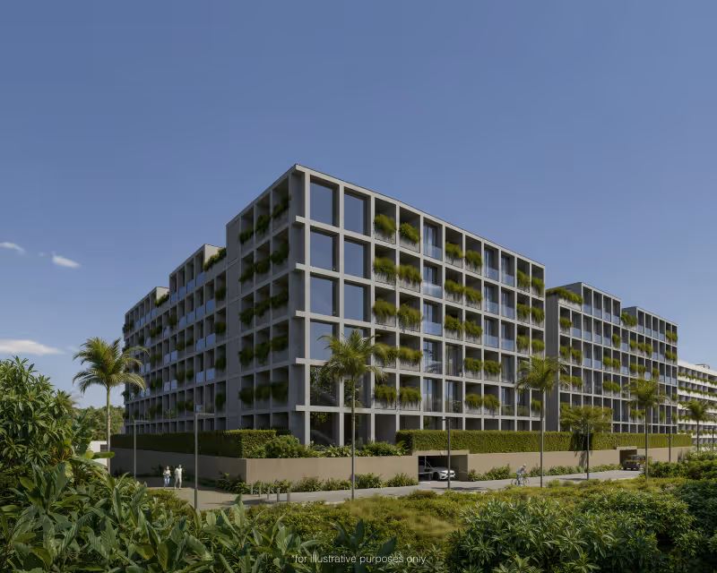 Terra Grove Layan 3