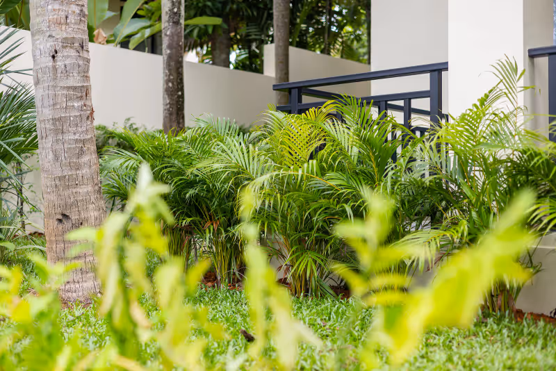 The Laytin Villa 80