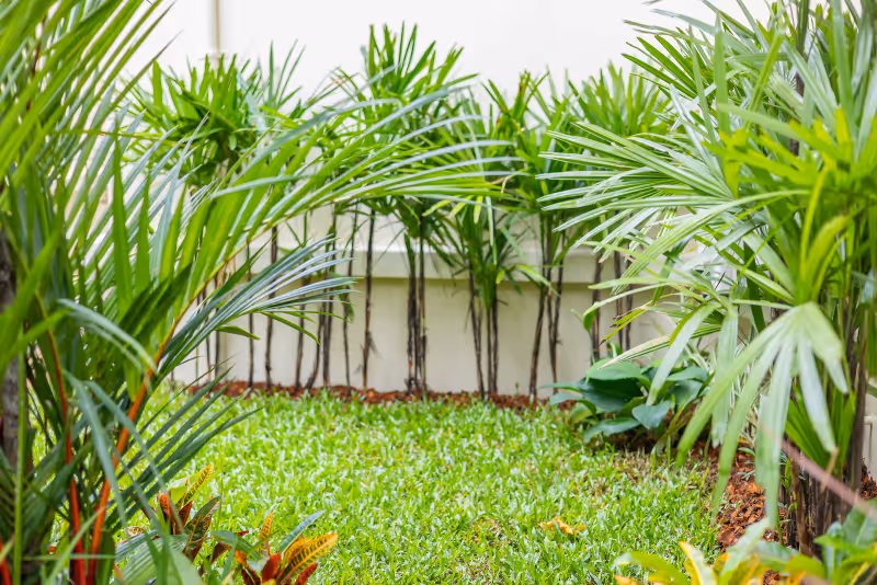 The Laytin Villa 83