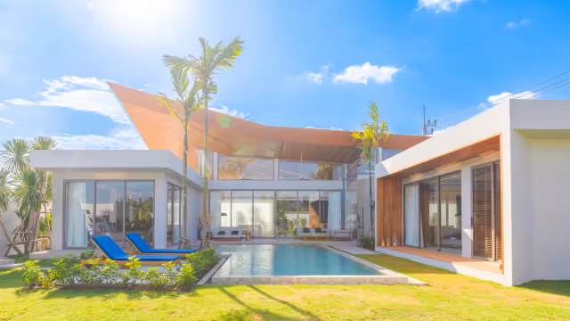 Zenithy Luxe