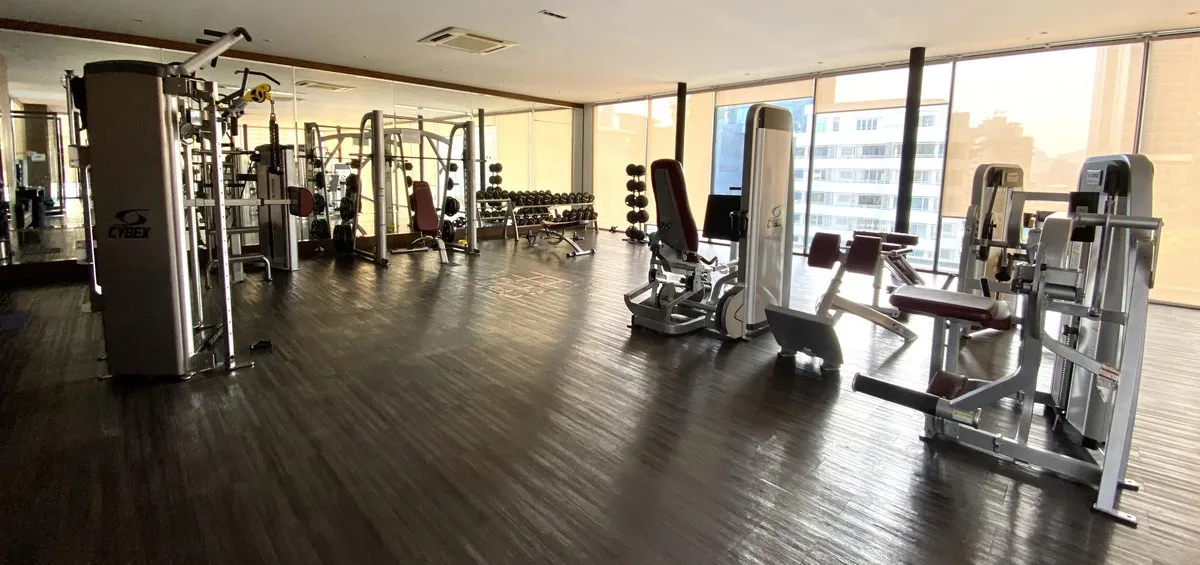La Citta Penthouse Thonglor 8 5
