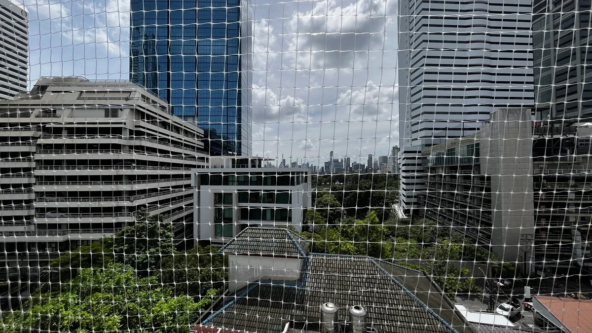 Lake Avenue Sukhumvit 16 5