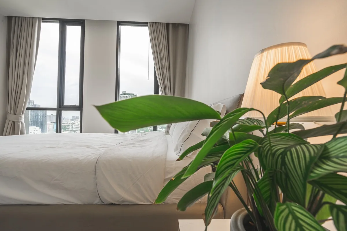 Movenpick Residences Ekkamai 9