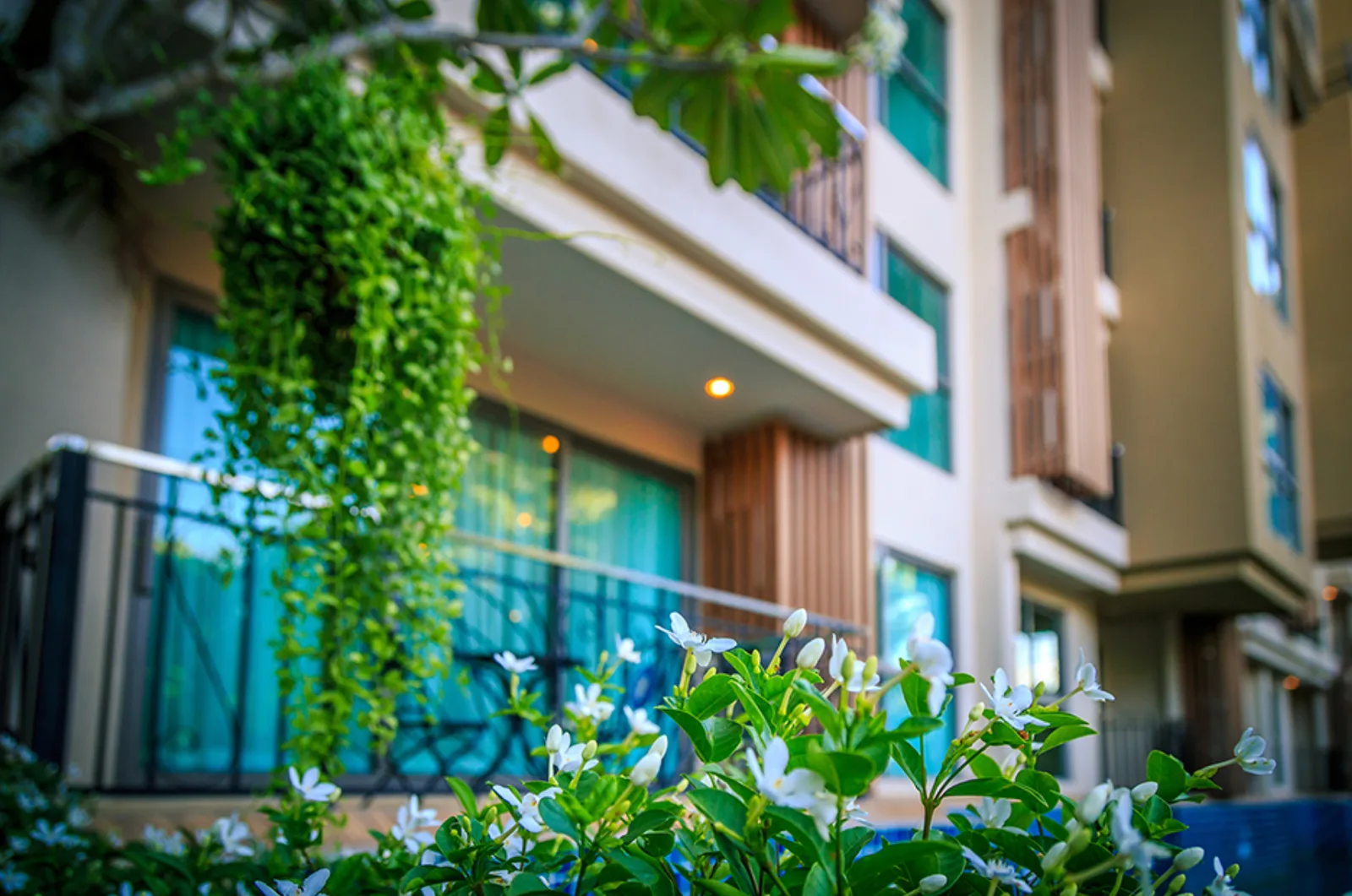 City Garden Tropicana 7