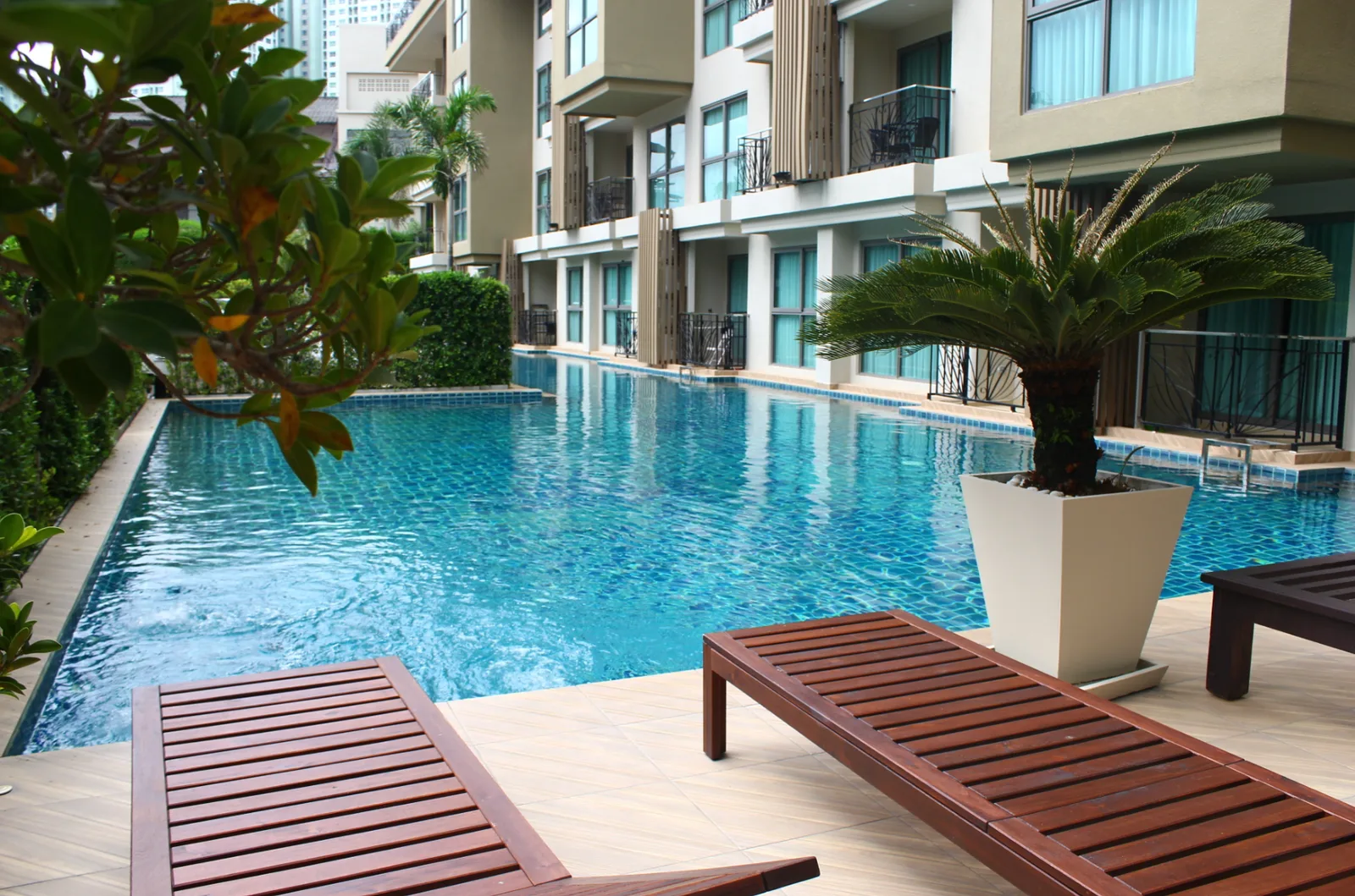 City Garden Tropicana 8