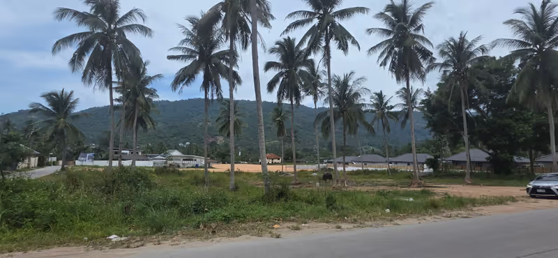 Wild Orchid Villas 6