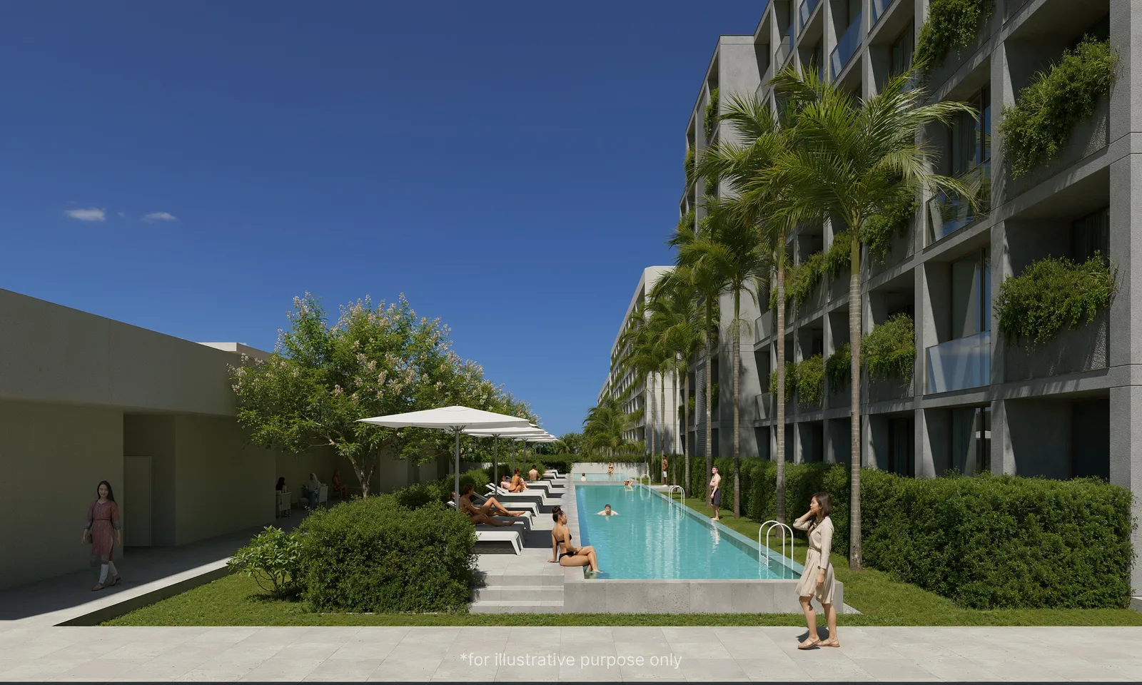 Terra Grove Layan 2