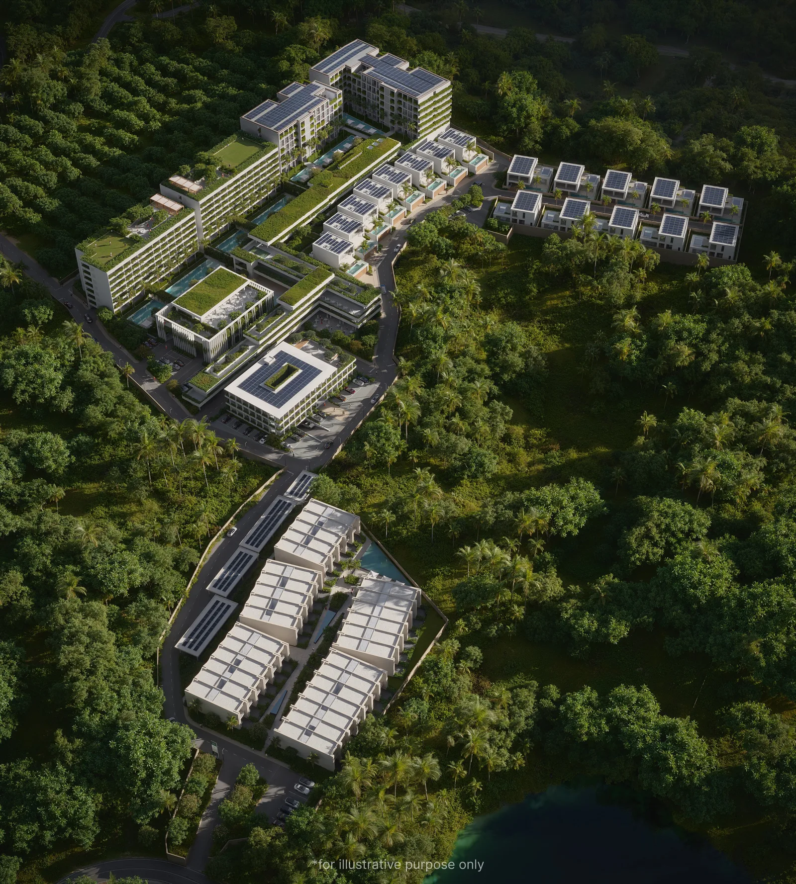 Terra Grove Layan 4