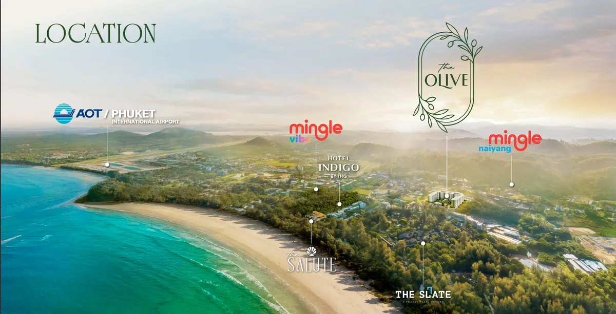 The Olive 2