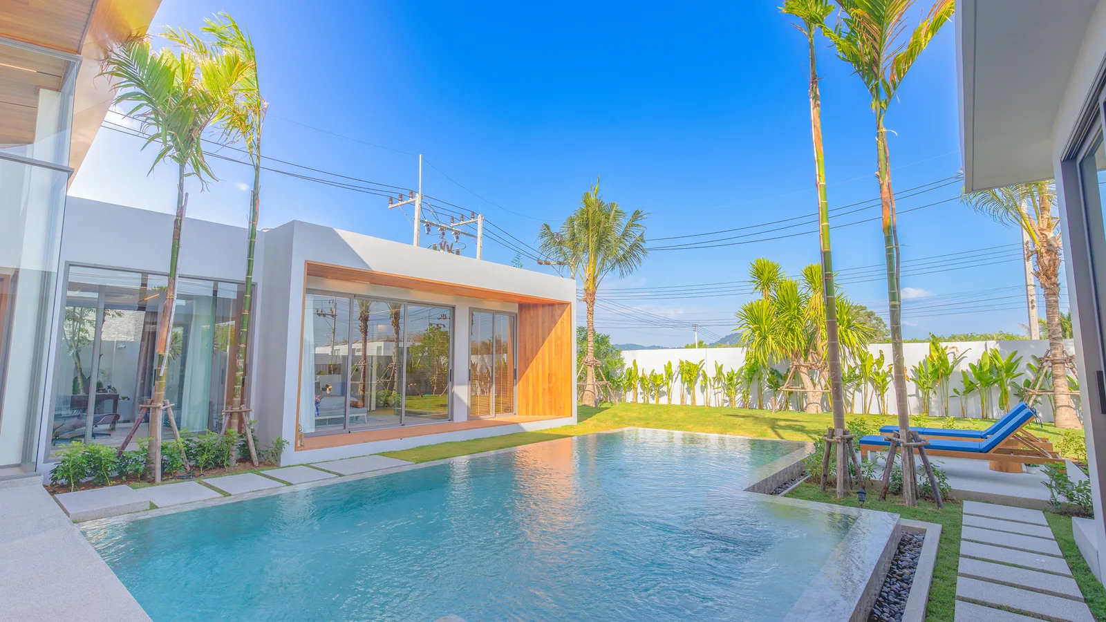 Zenithy Luxe 5